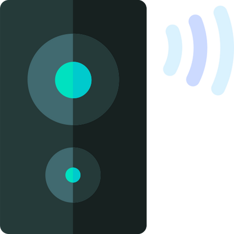 Other Smart Speaker