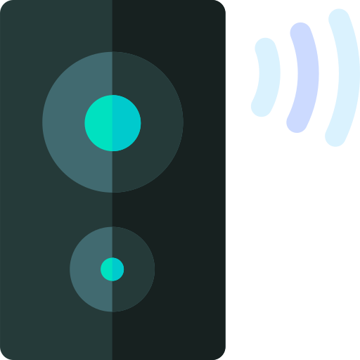 Other Smart Speaker