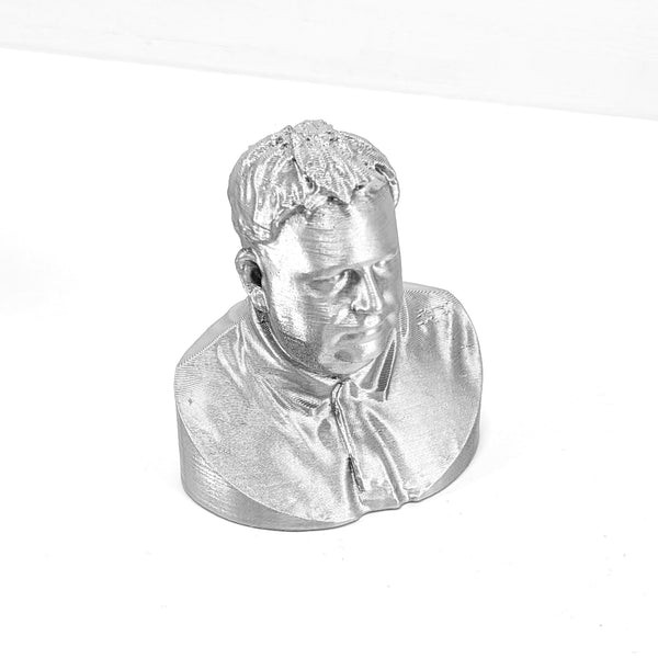 3D Portrait Scan (Kent) + 3D Model Small Bust (8cm)