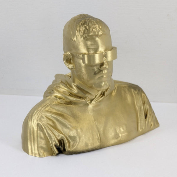 3D Portrait Scan (Kent) + 3D Model Bust (Medium 15cm)