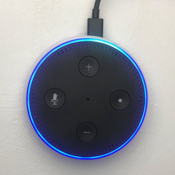 Echo Dot Wall Bracket : Cup Style